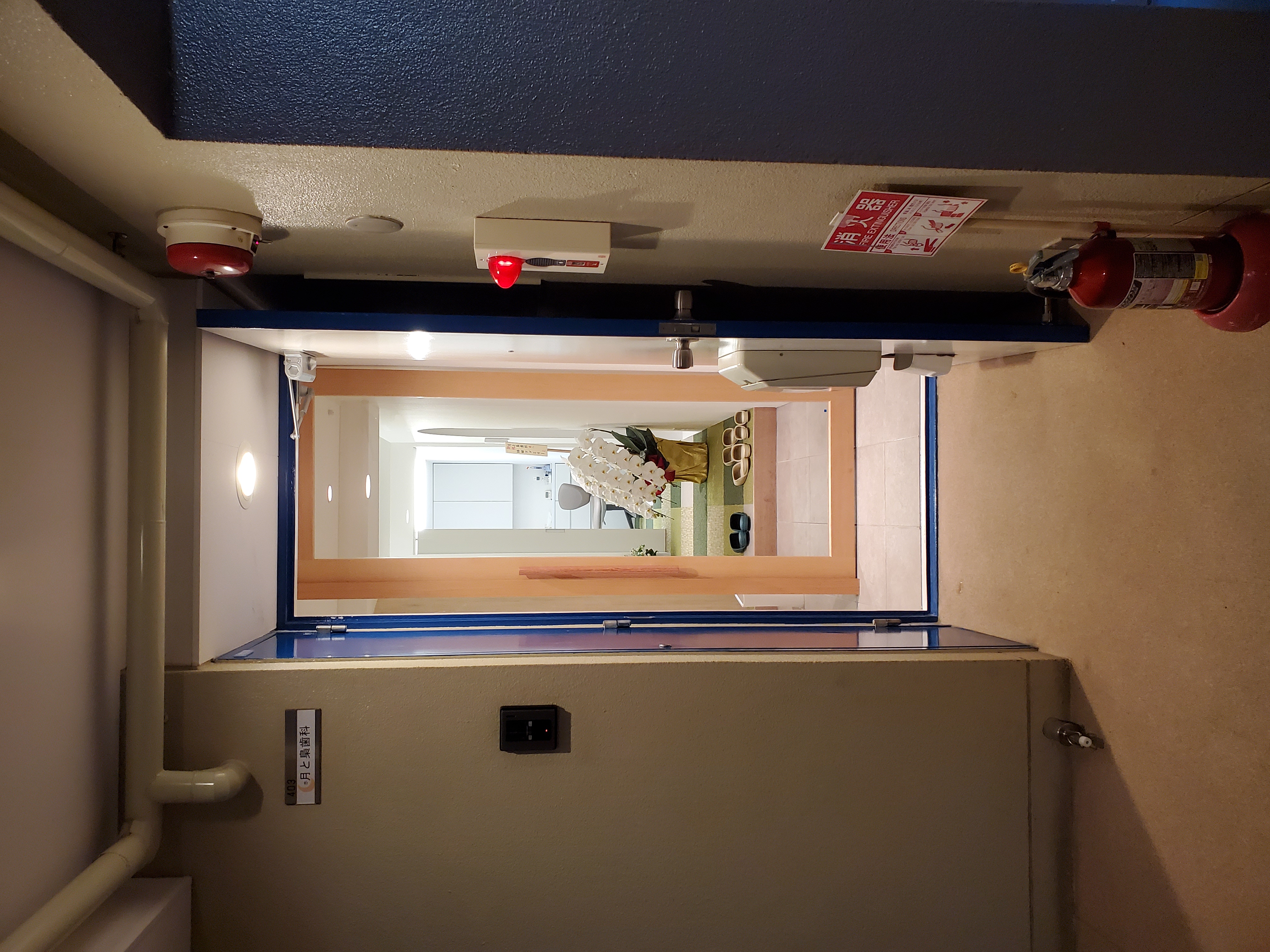 自由が丘・月と梟歯科